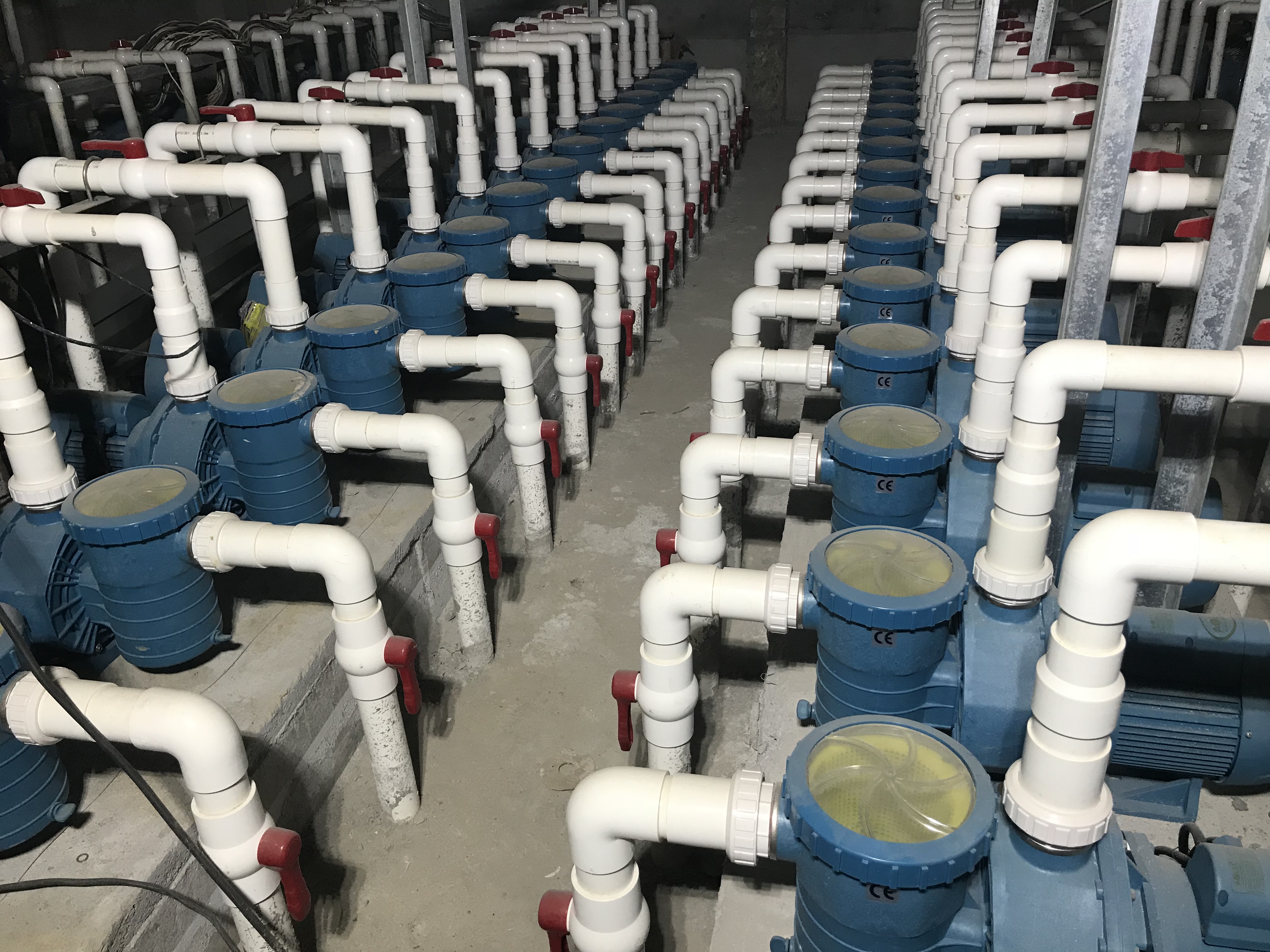 泳池水泵的安装说明及安装顺序