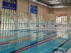 建造一个标准泳池的费用是多少？