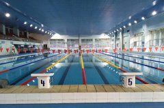 目前国际泳协公认泳池消毒设备标准